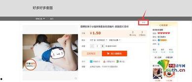 手机成人在线视频免费观看,揭秘手机成人在线视频免费观看的奥秘