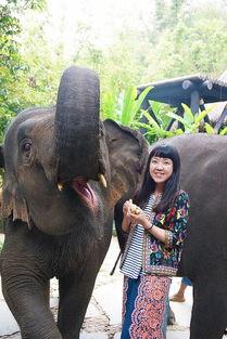 大象蕉免费观看在线视频