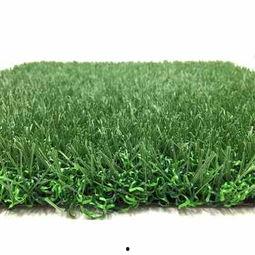 草坪在线视频,在线视频深度解析